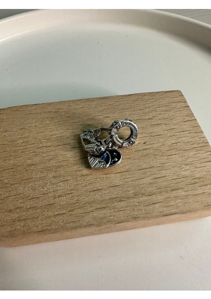 Gümüş S925 Damgalı Pixar Wall-E & Eve Sallantılı Charm modelleri