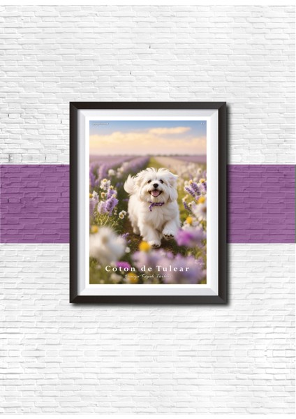 Yapay Zeka Sanat Dünya Köpek Türleri Posterleri 10 Adet Büyük Boy modelleri