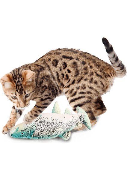 Natrual Instinct - Hareketli Alabalık Oyuncak modelleri