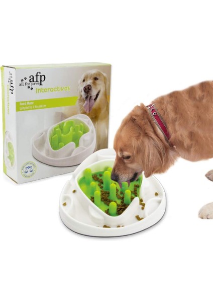 Interactives-Köpek İçin Zeka Geliştirici Oyun