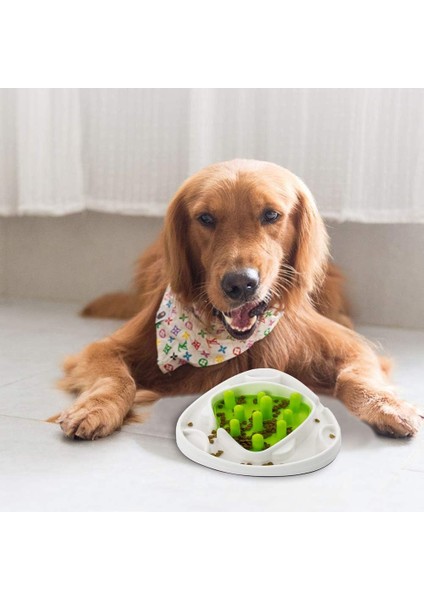 Interactives-Köpek İçin Zeka Geliştirici Oyun