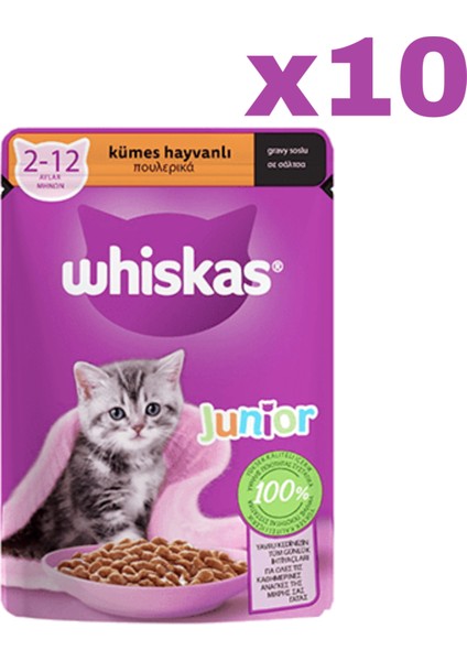 Whıskas Kümes Hayvanlı Yavru Kediler Için Yaş Mama 10 Adet (1X85GR)