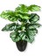 Beyaz Alacalı Monstera Mini Yapay Ağaç 85 cm 18 Dal Krem Saksı 1