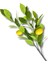 Yapay Tek Dal Limon Dalı 90 cm 3