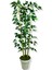 Yapay Yapraklı Benjamin 3 Bambu'lu 110 cm 4