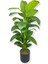 Yapay Koyu Lüx Yaprak Difenbahya Yapay Ağaç 160 cm 30X30 Siyah Galvaniz Saksı 1