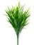 Yeşil Saz Demeti 24 Dal 40 cm 1