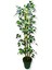 Yapay Yapraklı Fıcus 3 Bambu'lu 110 cm 1