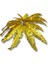 Yapay Fujer Demeti Gold 2