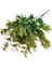 Yapay Turuncu Ruscus Bitkisi 40 cm 5 Dal 4