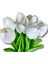 Yapay 10'lu Islak Lale Buketi 33 cm Beyaz 4