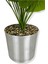 Alocasia Brisbanensis (Kaşık Zambağı) 90 cm Yapay Ağaç 24 Dal 25X25 Galvaniz Saksı 5