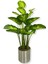 Yapay Difenbahya 18 Dal Yapay Ağaç 130 cm 30X30 Galvaniz Saksı 1