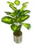 Yapay Difenbahya 18 Dal Yapay Ağaç 130 cm 30X30 Galvaniz Saksı 2