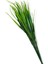 Yapay Yeşil Saz Demeti 25 cm 2