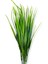 Yapay Yeşil Saz Demeti 25 cm 4