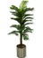 Yapay Tek Gövde AREKA160 cm 30X30GALVANİZ Saksı 2