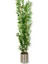 Yapay Yapraklı Bambu Ağacı 3 Bambu'lu 190 cm 25X25 Galvaniz Saksı 2
