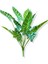 Yapay Alocasia Bitki Demeti 60 cm 12 Dal 1