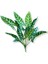 Yapay Alocasia Bitki Demeti 60 cm 12 Dal 2