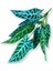 Yapay Alocasia Bitki Demeti 60 cm 12 Dal 3