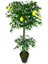 Limon Ağacı 180 cm Yapay Ağaç Üretim Saksısı 1