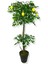 Limon Ağacı 180 cm Yapay Ağaç Üretim Saksısı 3