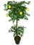 Limon Ağacı 180 cm Yapay Ağaç Üretim Saksısı 5