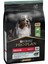 Pro Plan Medium Adult Kuzu Etli Orta Irk Yetişkin Köpek Maması 3kg 1