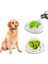 Interactives-Köpek İçin Zeka Geliştirici Oyun 5
