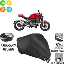 AUTOES Ducati Monster 1200 Motosiklet Brandası Arka Çanta, Tokalı ve Kilit Uyumlu Siyah