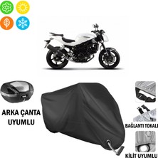AUTOES Hyosung Gt 650 Naked Motosiklet Brandası Arka Çanta, Tokalı ve Kilit Uyumlu Siyah