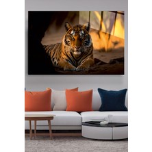 Hinora  Kaplan Cam Tablo, Dekoratif Cam Tablo