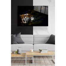 Hinora Kaplan Cam Tablo, Dekoratif Cam Tablo