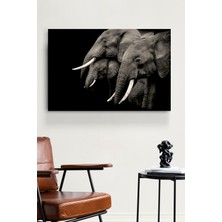 Hinora Filler Cam Tablo, Dekoratif Cam Tablo