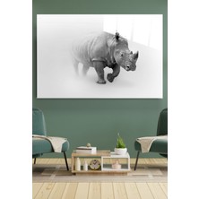 Hinora Gergedan Cam Tablo, Dekoratif Cam Tablo