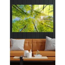 Hinora Ağaçlar Cam Tablo, Dekoratif Cam Tablo