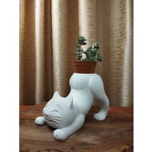 Dorden 3D Kedi Tasarımlı Kalemlik & Kaktüs ve Çiçeklik Beyaz