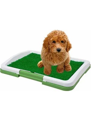 Peanelife Pet Park Mini Yavru Köpek Tuvalet Eğitimi