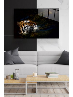 Hinora Kaplan Cam Tablo, Dekoratif Cam Tablo