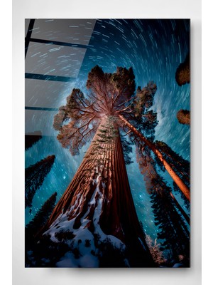 Hinora Dev Ağaç Cam Tablo, Dekoratif Cam Tablo