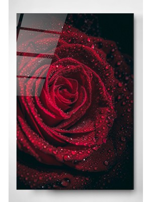 Hinora Rose Cam Tablo, Dekoratif Cam Tablo