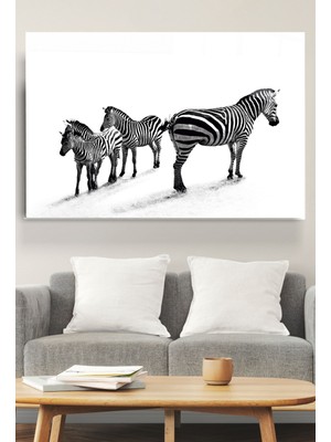 Hinora  Zebralar Cam Tablo, Dekoratif Cam Tablo