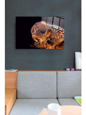 Hinora Arı Cam Tablo, Dekoratif Cam Tablo