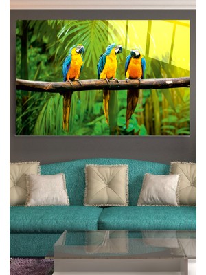 Hinora Ararauna Papağanı Cam Tablo, Dekoratif Cam Tablo