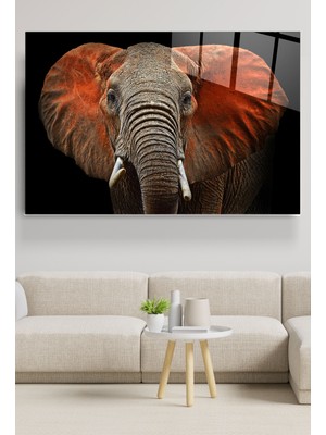 Hinora Fil Cam Tablo, Dekoratif Cam Tablo