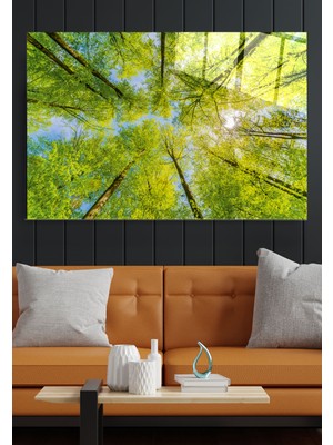 Hinora Ağaçlar Cam Tablo, Dekoratif Cam Tablo