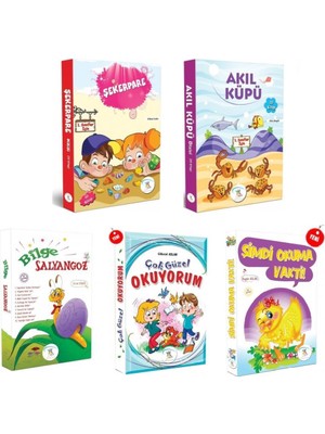 1. Sınıf Hikaye Seti 5 Kutu 60 Kitap