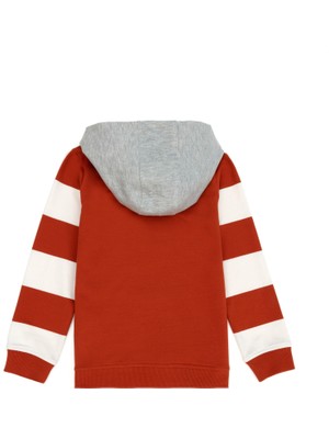 U.S. Polo Assn. Erkek Çocuk Kiremit Sweatshirt 50277342-VR031