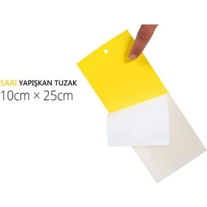 Uğur Batın Sarı Yaprak Tuzak 10*25